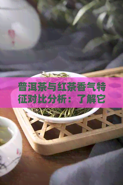 普洱茶与红茶香气特征对比分析：了解它们的独特魅力