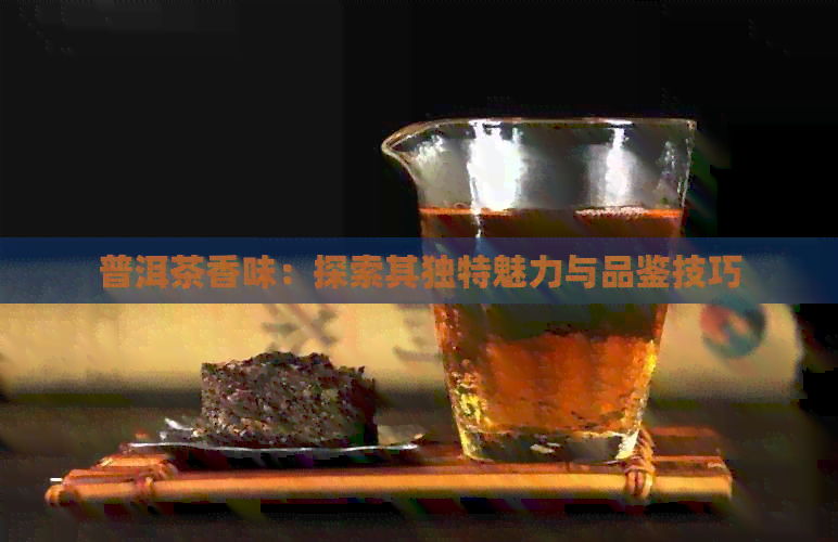 普洱茶香味：探索其独特魅力与品鉴技巧