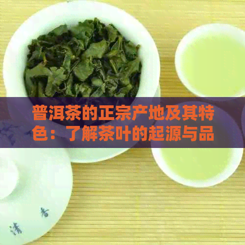 普洱茶的正宗产地及其特色：了解茶叶的起源与品尝之道