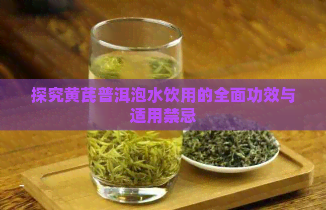 探究黄芪普洱泡水饮用的全面功效与适用禁忌