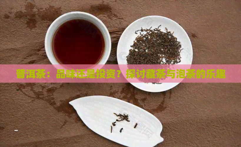 普洱茶：品味还是投资？探讨藏茶与泡茶的乐趣