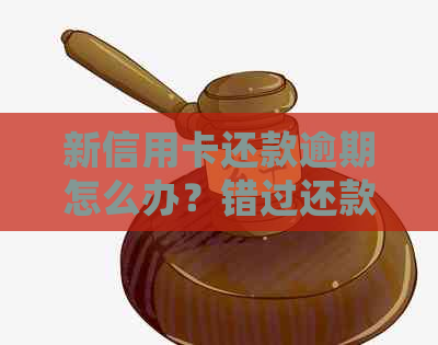 新信用卡还款逾期怎么办？错过还款日会产生哪些后果？如何补救？