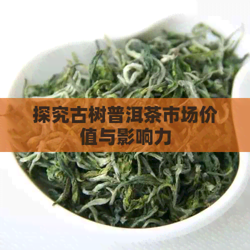 探究古树普洱茶市场价值与影响力