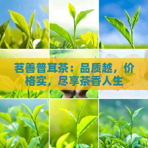 茗善普耳茶：品质越，价格实，尽享茶香人生