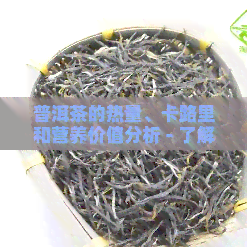 普洱茶的热量、卡路里和营养价值分析 - 了解每杯茶叶的热量消耗