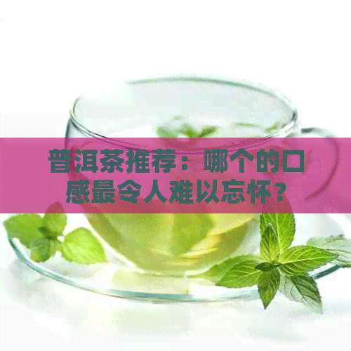 普洱茶推荐：哪个的口感最令人难以忘怀？