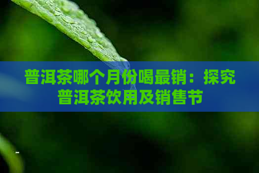 普洱茶哪个月份喝最销：探究普洱茶饮用及销售节