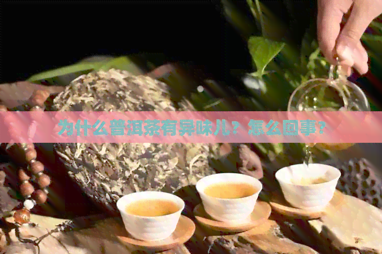 为什么普洱茶有异味儿？怎么回事？