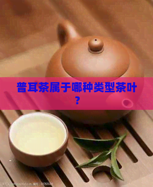 普耳茶属于哪种类型茶叶？