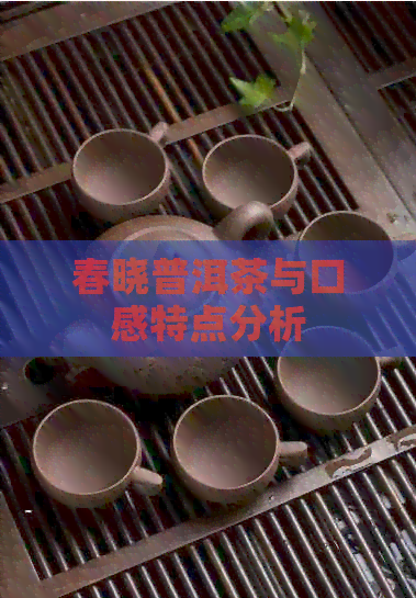 春晓普洱茶与口感特点分析