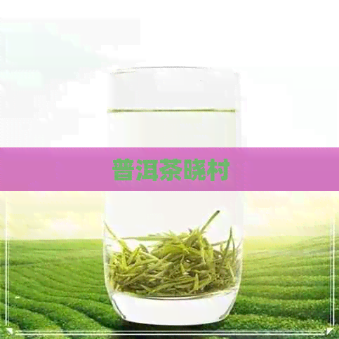 普洱茶晓村