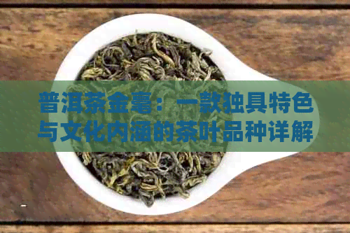 普洱茶金毫：一款独具特色与文化内涵的茶叶品种详解