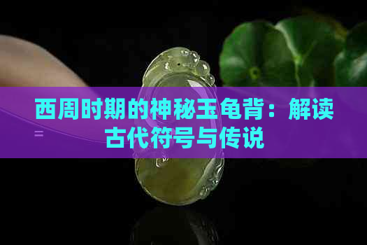 西周时期的神秘玉龟背：解读古代符号与传说