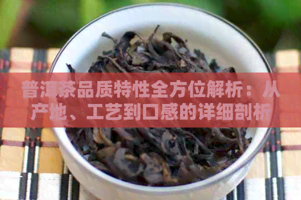 普洱茶品质特性全方位解析：从产地、工艺到口感的详细剖析