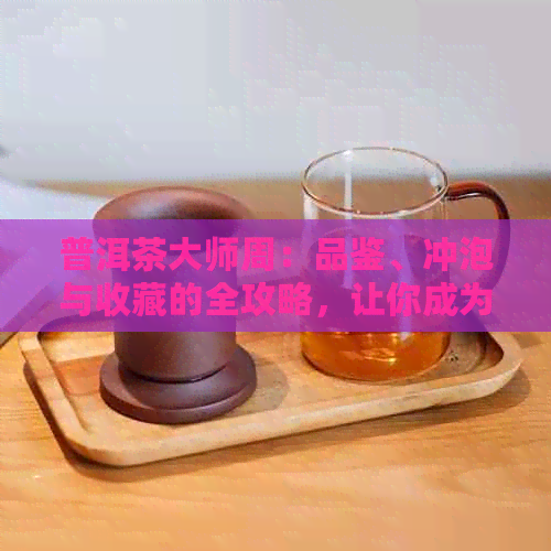 普洱茶大师周：品鉴、冲泡与收藏的全攻略，让你成为普洱茶专家