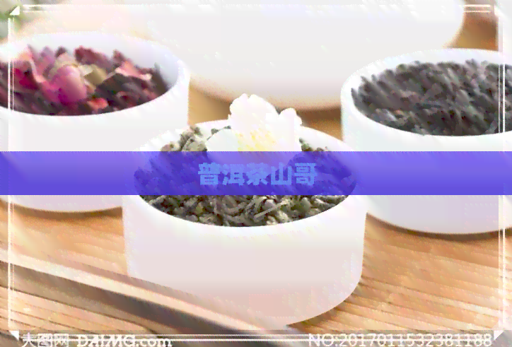 普洱茶山哥