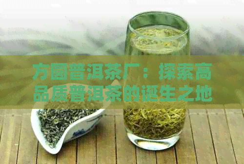 方圆普洱茶厂：探索高品质普洱茶的诞生之地与完整制作流程