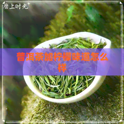 普洱茶加柠檬味道怎么样