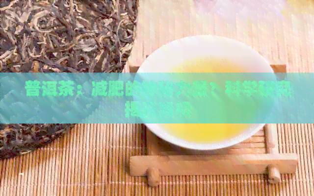 普洱茶：减肥的神秘力量？科学研究揭开真相