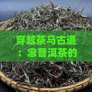 穿越茶马古道：念普洱茶的历与传承摄制之旅