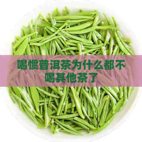 喝惯普洱茶为什么都不喝其他茶了