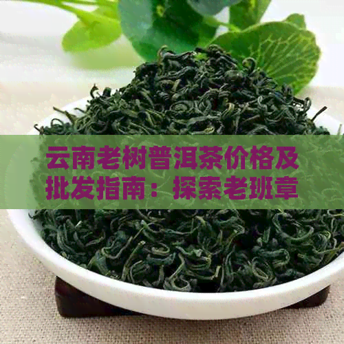 云南老树普洱茶价格及批发指南：探索老班章茶区的高品质茶叶