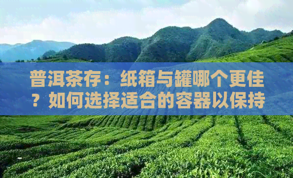 普洱茶存：纸箱与罐哪个更佳？如何选择适合的容器以保持品质？