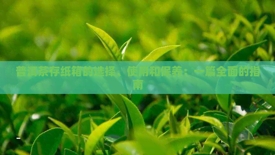 普洱茶存纸箱的选择、使用和保养：一篇全面的指南