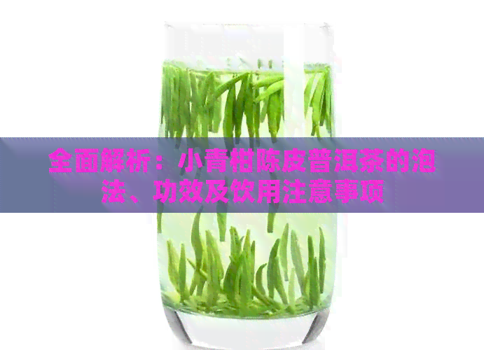 全面解析：小青柑陈皮普洱茶的泡法、功效及饮用注意事项