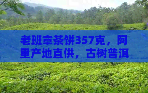 老班章茶饼357克，阿里产地直供，古树普洱茶促销价，批发货源有限