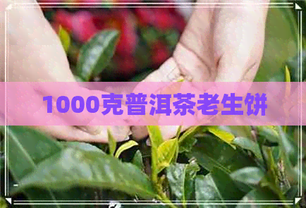 1000克普洱茶老生饼