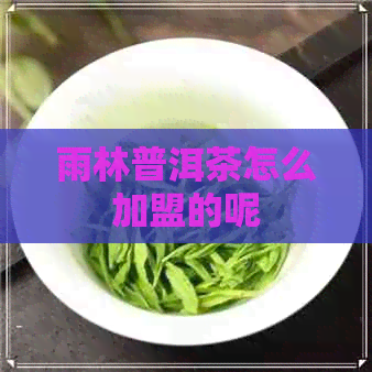 雨林普洱茶怎么加盟的呢