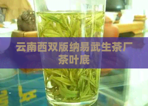 云南西双版纳易武生茶厂茶叶底