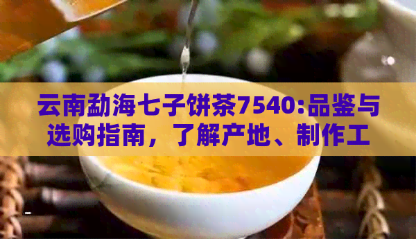 云南勐海七子饼茶7540:品鉴与选购指南，了解产地、制作工艺和口感特点