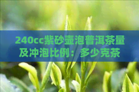 240cc紫砂壶泡普洱茶量及冲泡比例：多少克茶配多大容量壶？