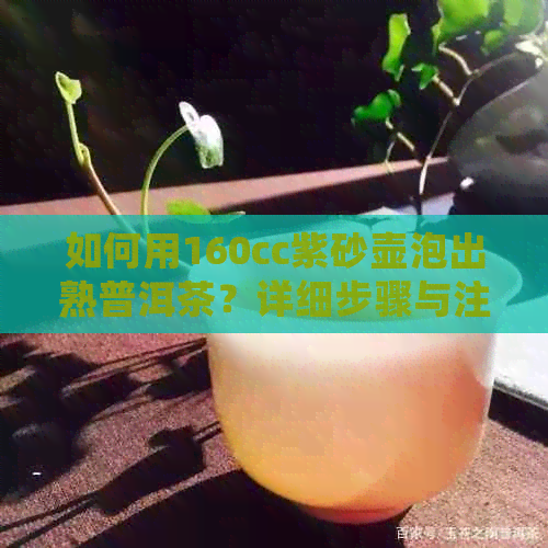 如何用160cc紫砂壶泡出熟普洱茶？详细步骤与注意事项一览