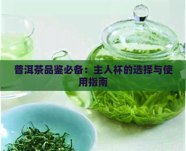 普洱茶品鉴必备：主人杯的选择与使用指南