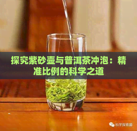 探究紫砂壶与普洱茶冲泡：精准比例的科学之道