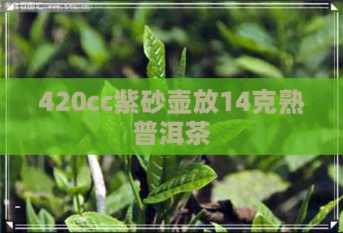 420cc紫砂壶放14克熟普洱茶