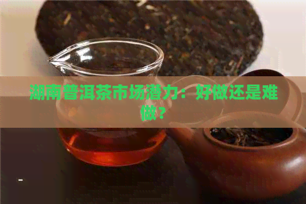 湖南普洱茶市场潜力：好做还是难做？