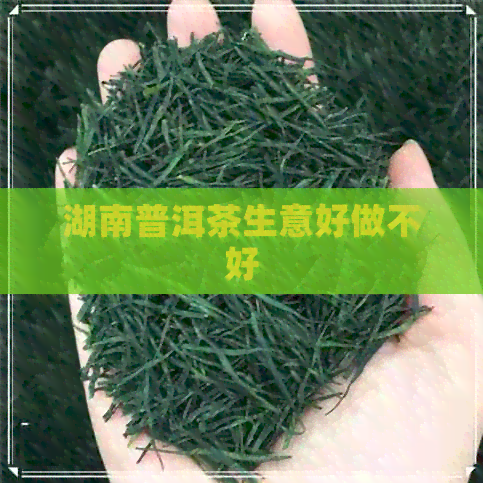 湖南普洱茶生意好做不好