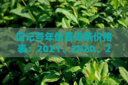 信记号年份普洱茶价格表：2021、2020、2019年357克各价