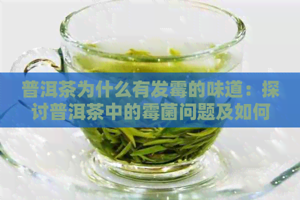 普洱茶为什么有发霉的味道：探讨普洱茶中的霉菌问题及如何去除霉味