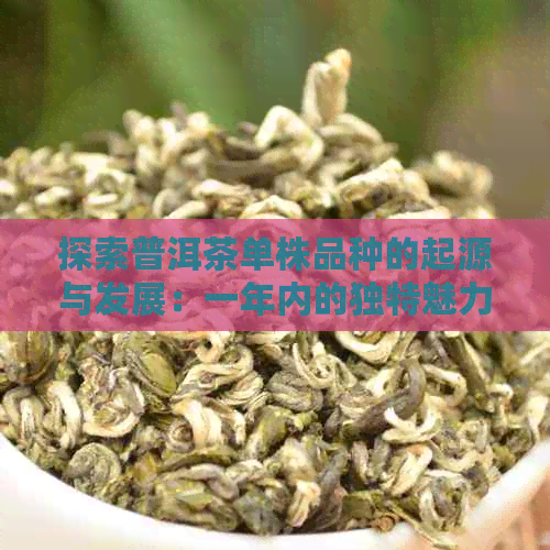 探索普洱茶单株品种的起源与发展：一年内的独特魅力与功效