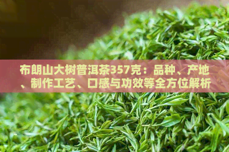 布朗山大树普洱茶357克：品种、产地、制作工艺、口感与功效等全方位解析