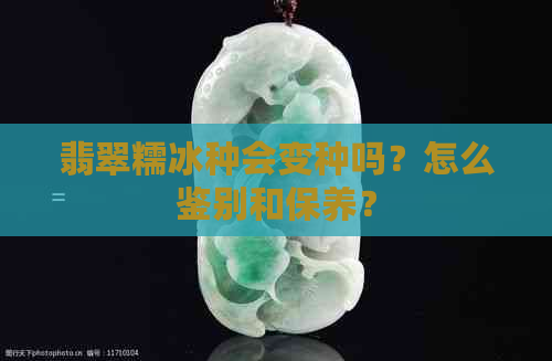 翡翠糯冰种会变种吗？怎么鉴别和保养？