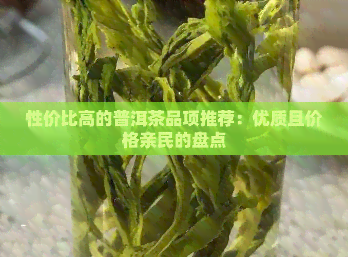 性价比高的普洱茶品项推荐：优质且价格亲民的盘点