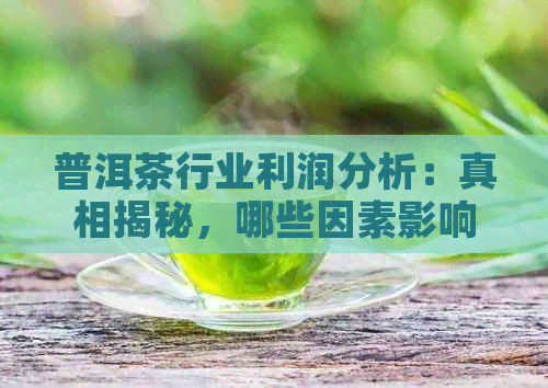 普洱茶行业利润分析：真相揭秘，哪些因素影响茶叶的盈利能力？