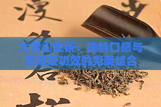 大雪山生茶：独特口感与普洱茶功效的完美结合