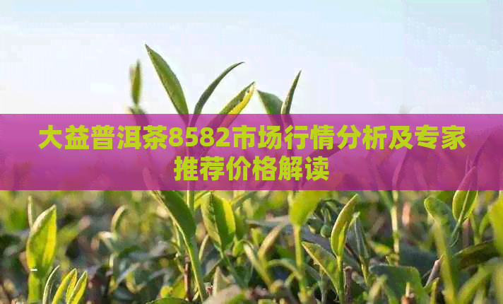 大益普洱茶8582市场行情分析及专家推荐价格解读